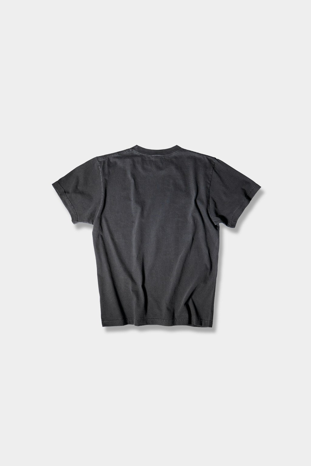 SWALLOW VINTAGE TEE